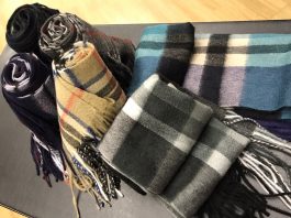 カシミヤ入荷