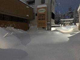 福井県での大雪状況