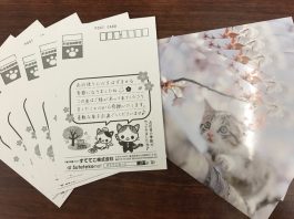 春の定期はがき
