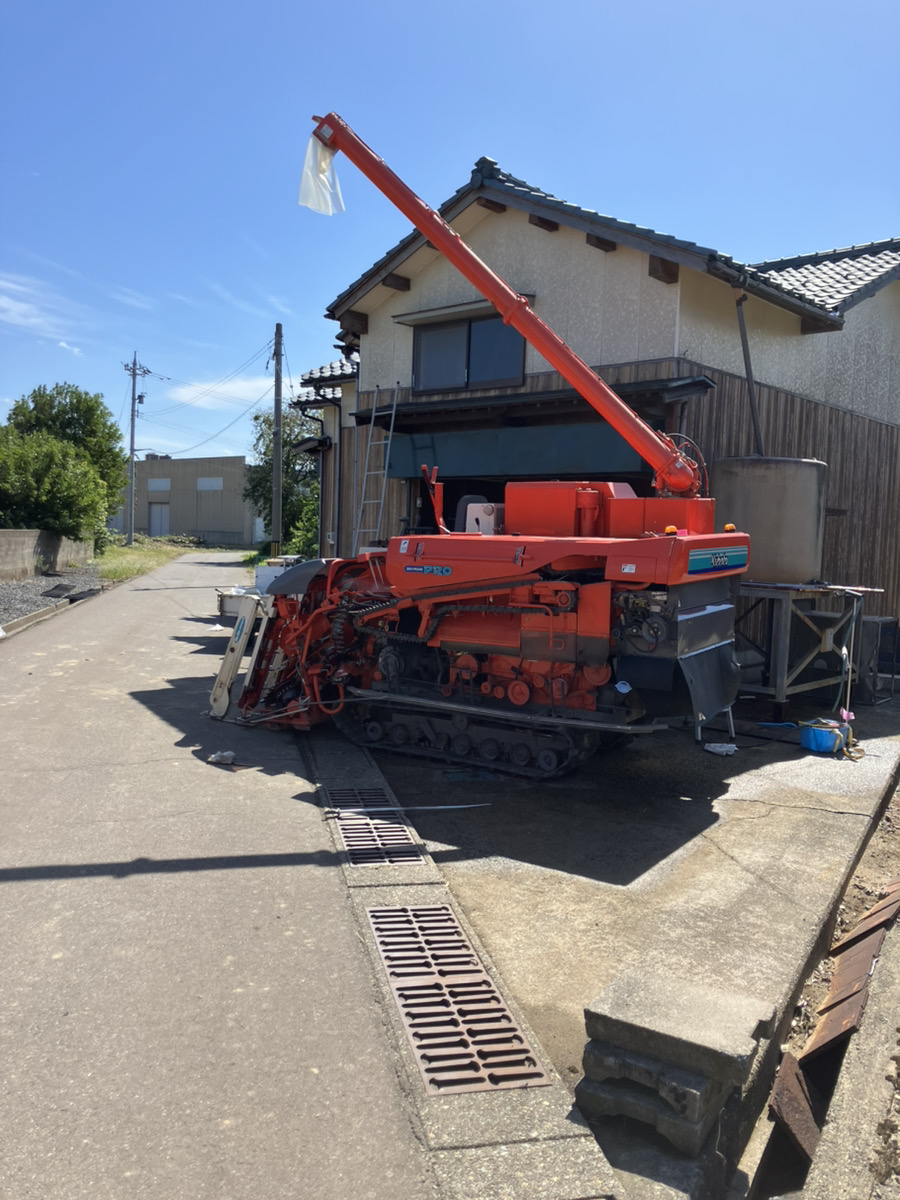 ステテコ米
